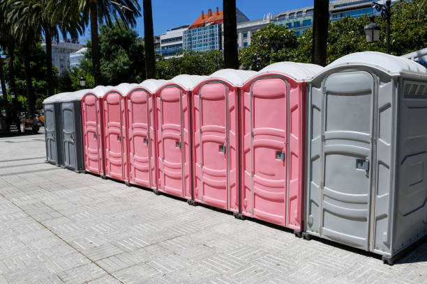 Best Portable Toilets for Disaster Relief Sites  in Ridley Rk, PA